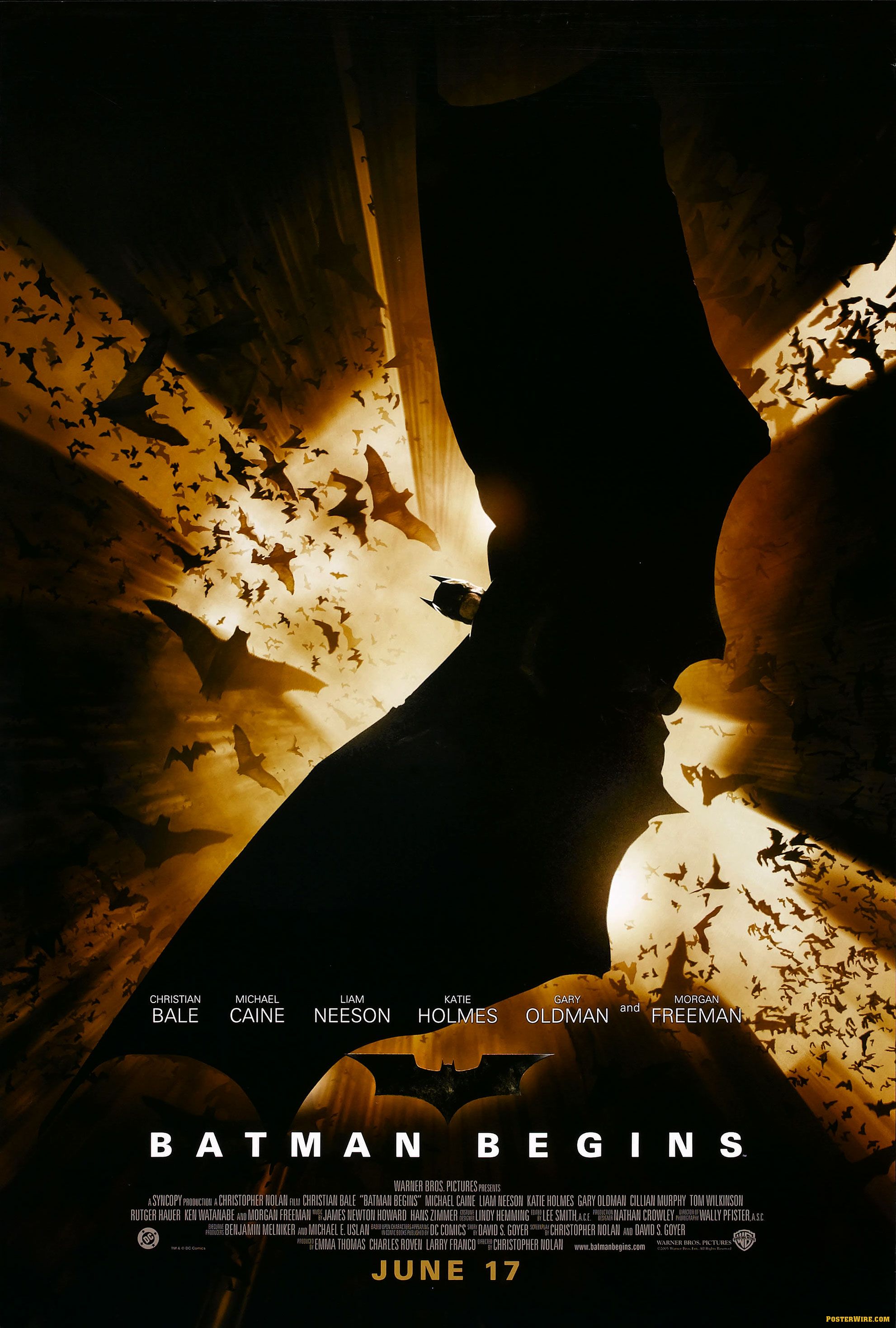 Batman Begins Flying Poster