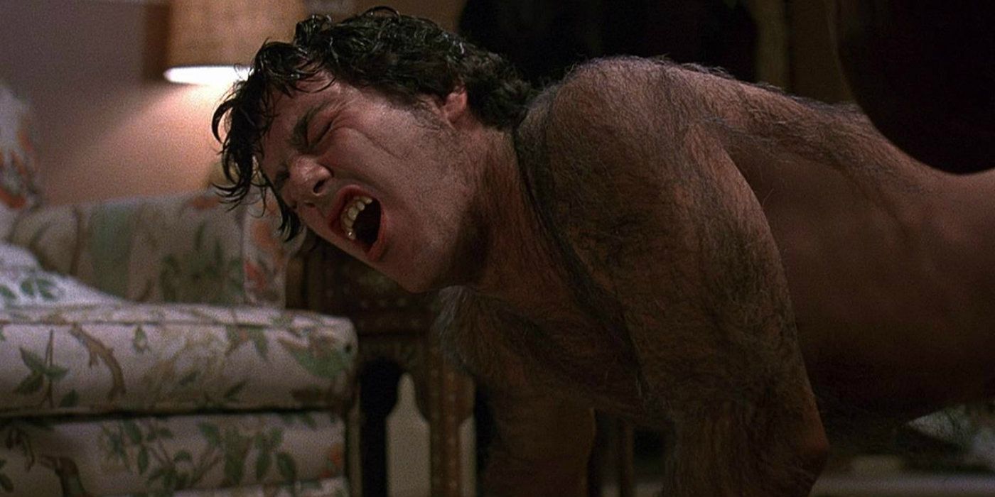 10 Best Werewolf Movies Ranked By Rotten Tomatoes Score