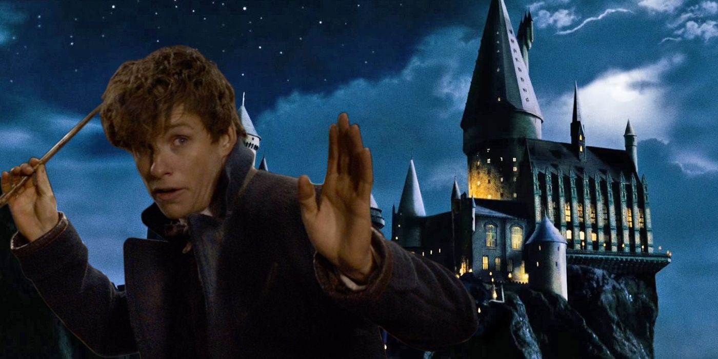 10 LittleKnown Facts About Newt Scamander