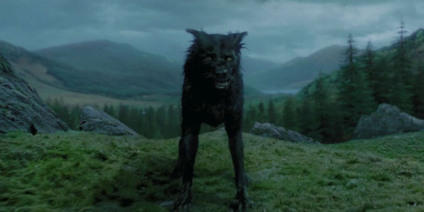 Harry Potter 15 Things You Didnt Know About Sirius Black