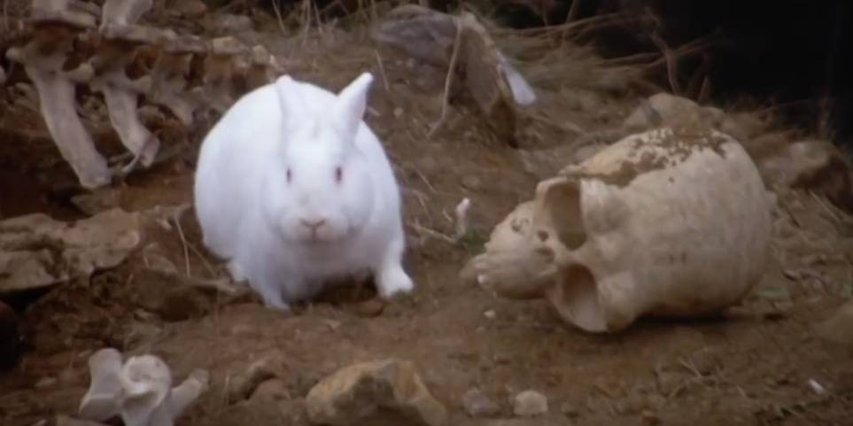 Monty Python 15 Funniest Quotes From The Holy Grail Screenrant Monty Python 15 Funniest Quotes From The Holy Grail Screenrant