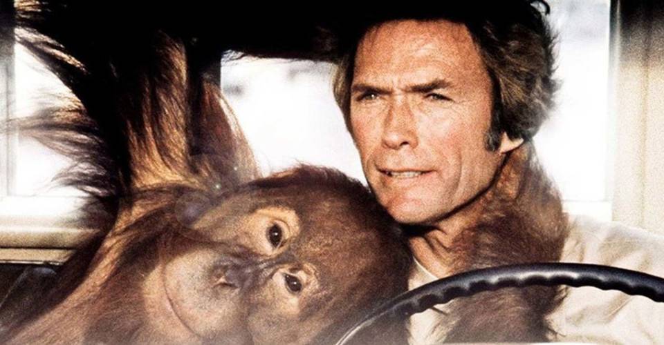 Every Which Way But Loose Is Clint Eastwood&#39;s Most Successful Film