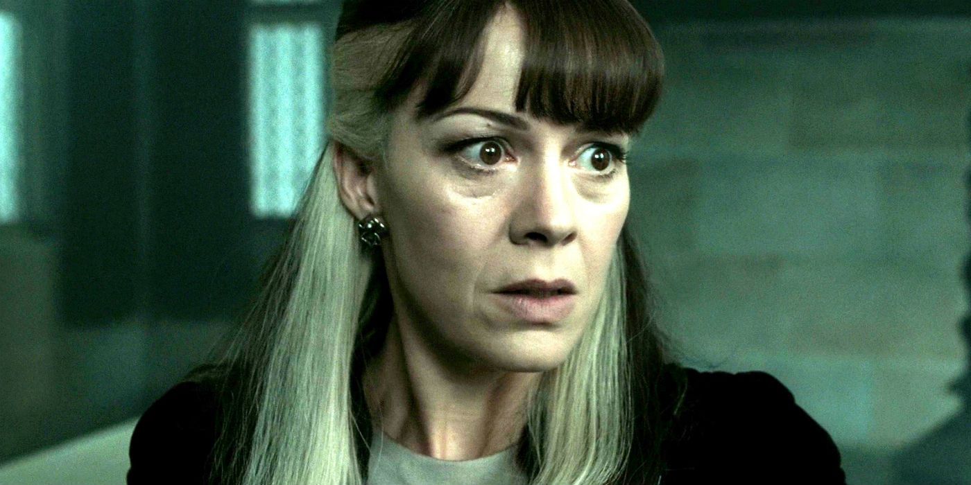 10 Harry Potter Characters Who Deserved To Kill Voldemort (Other Than Harry)