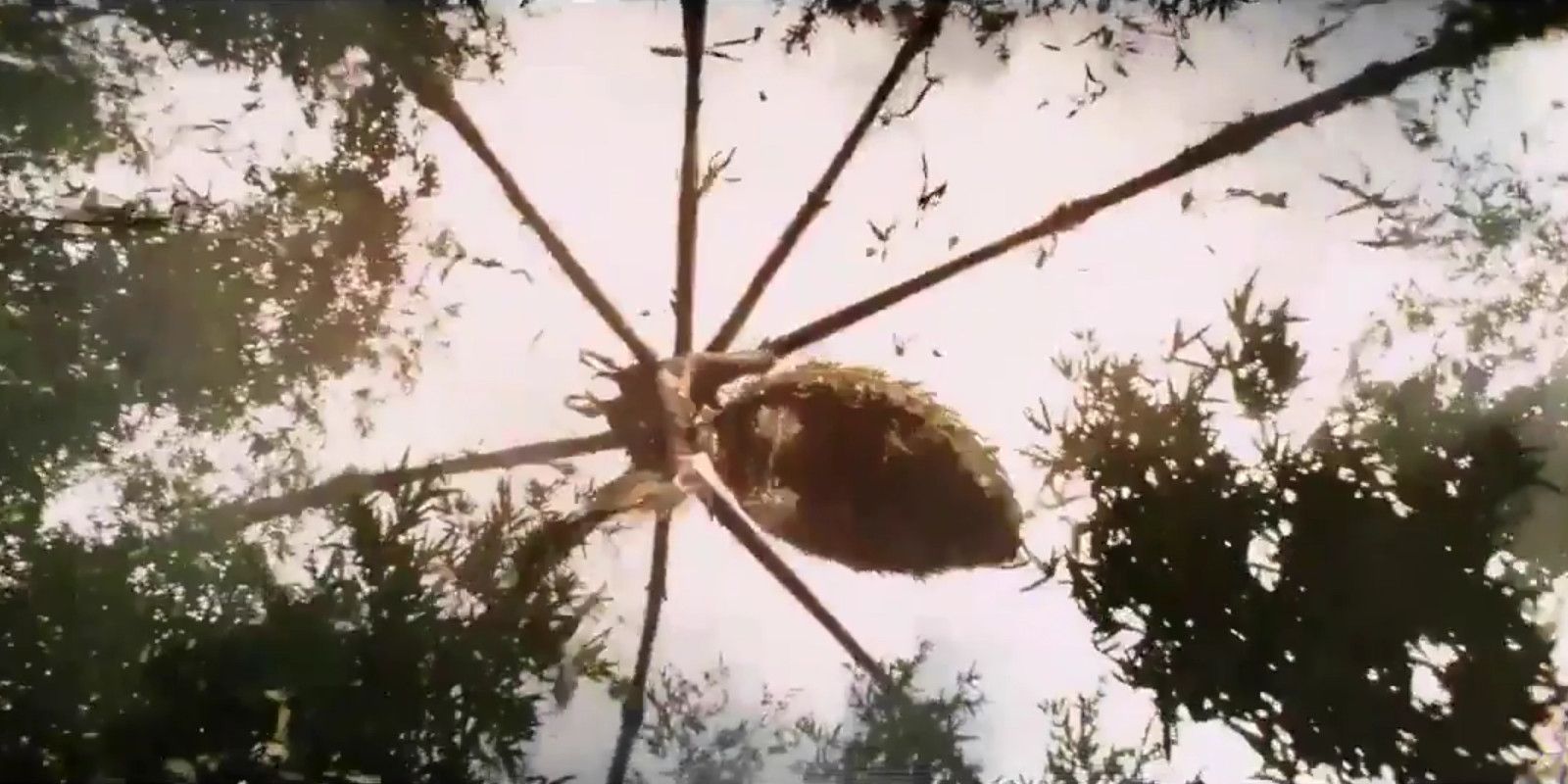 King Kong Skull Island Monster Name