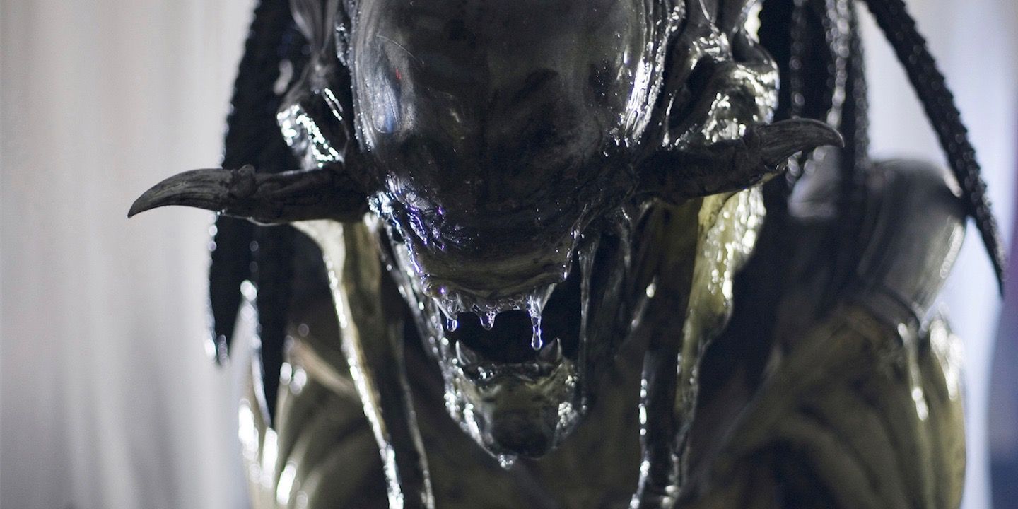 Alien Vs Predator S Predalien Explained Origin Alt Designs Powers