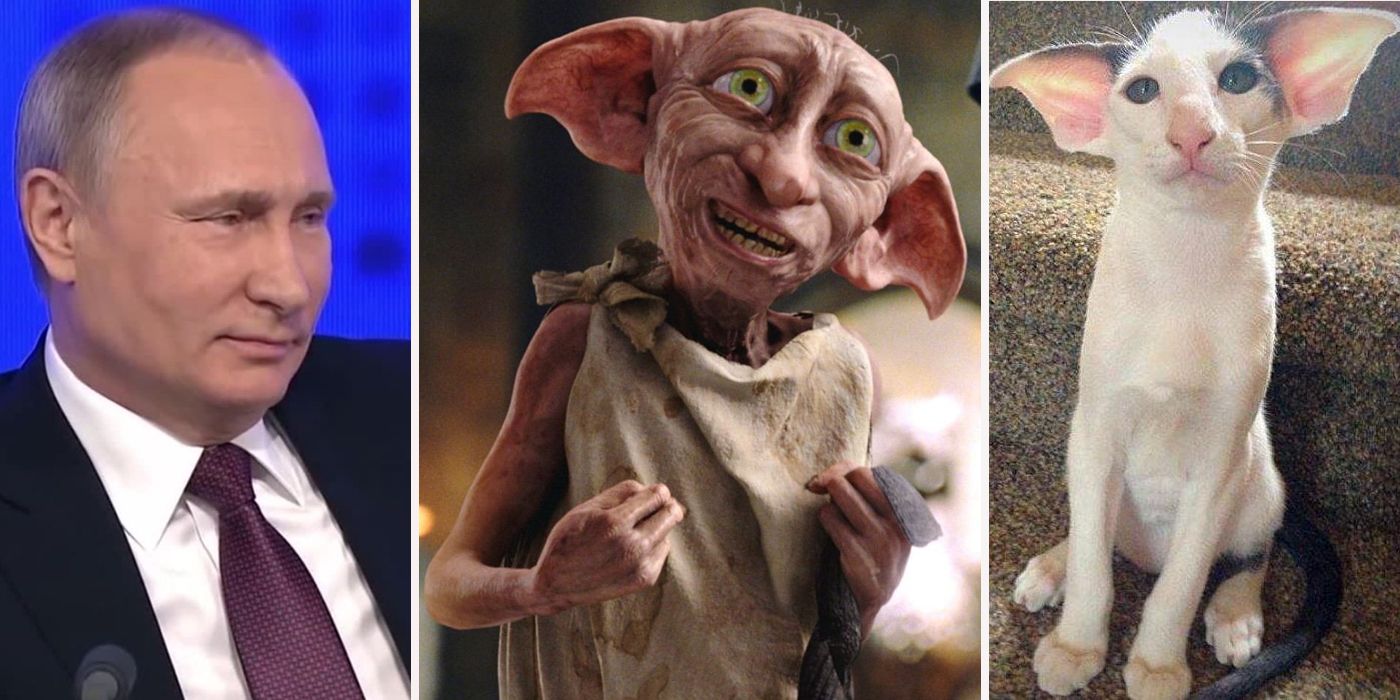 Things You Never Knew About Dobby Screenrant