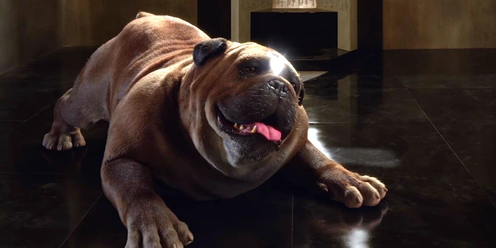 Lockjaw From Marvel's Inhumans Revealed at SDCC | Screen Rant