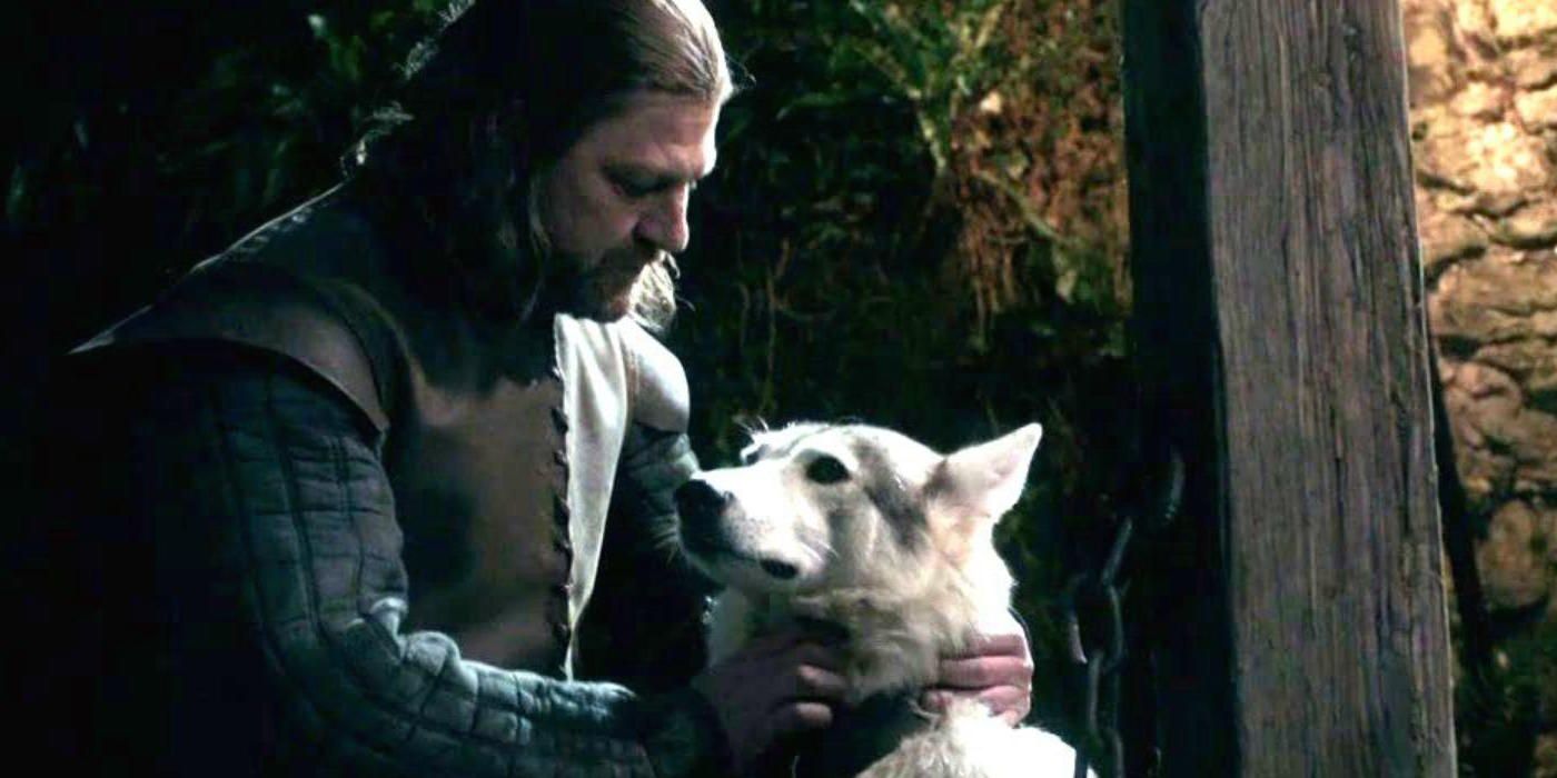 Game of Thrones 15 Things You Didnt Know About Ned Stark