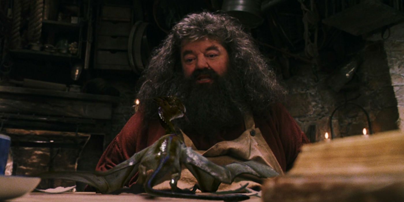 Harry Potter 10 Hagrids Hut Moments The Movies Missed Out On