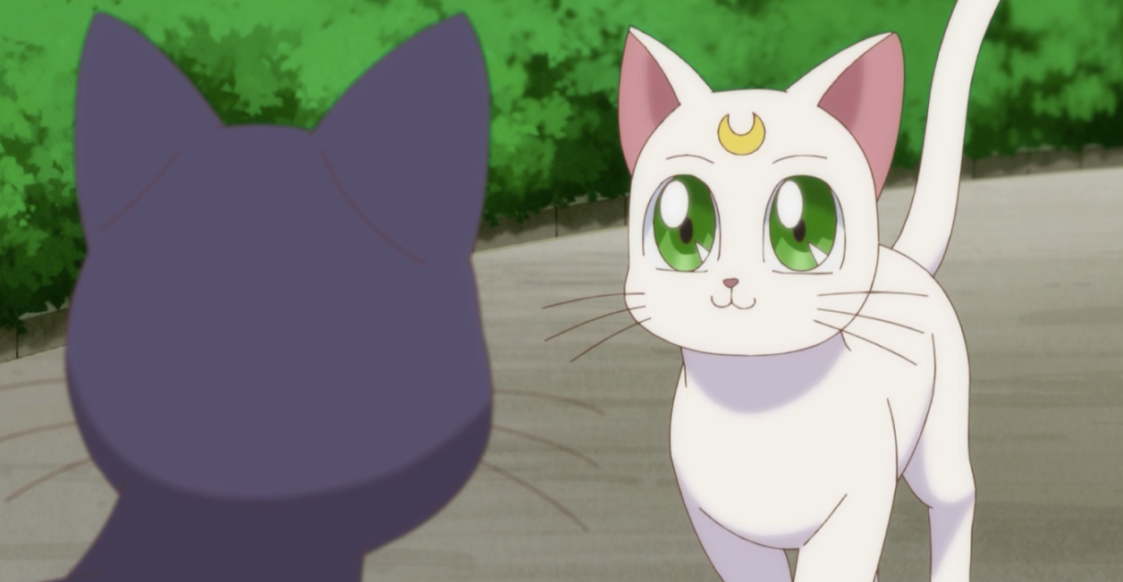 Sailor Moon 15 Things You Didn T Know About Luna And Artemis