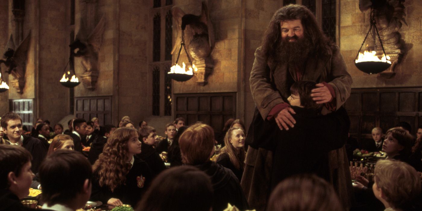 Harry Potter 5 Most Endearing Hagrid Moments (And 5 Times He Was The Worst)