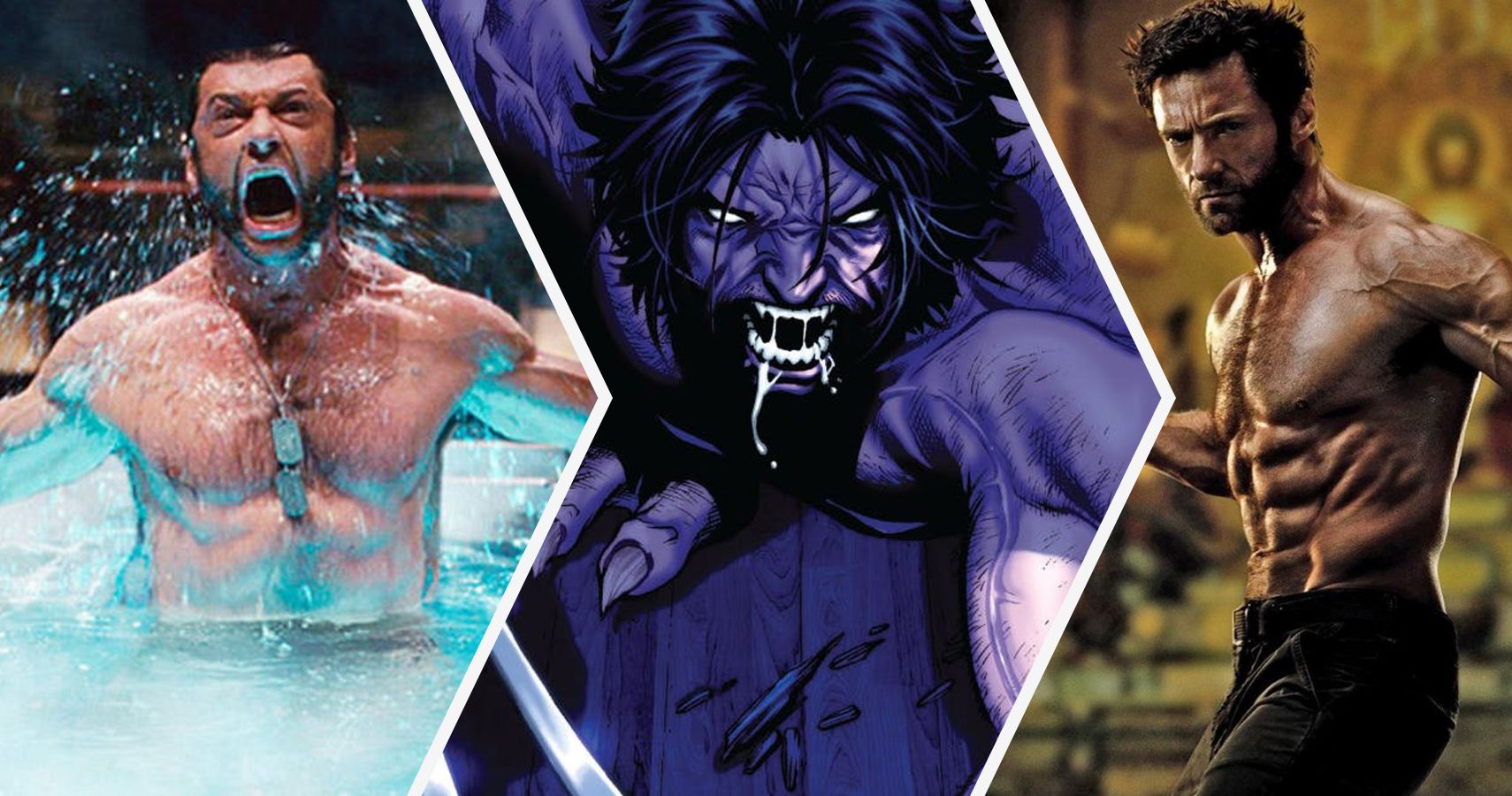 Wolverine Description Physique – SJCXY