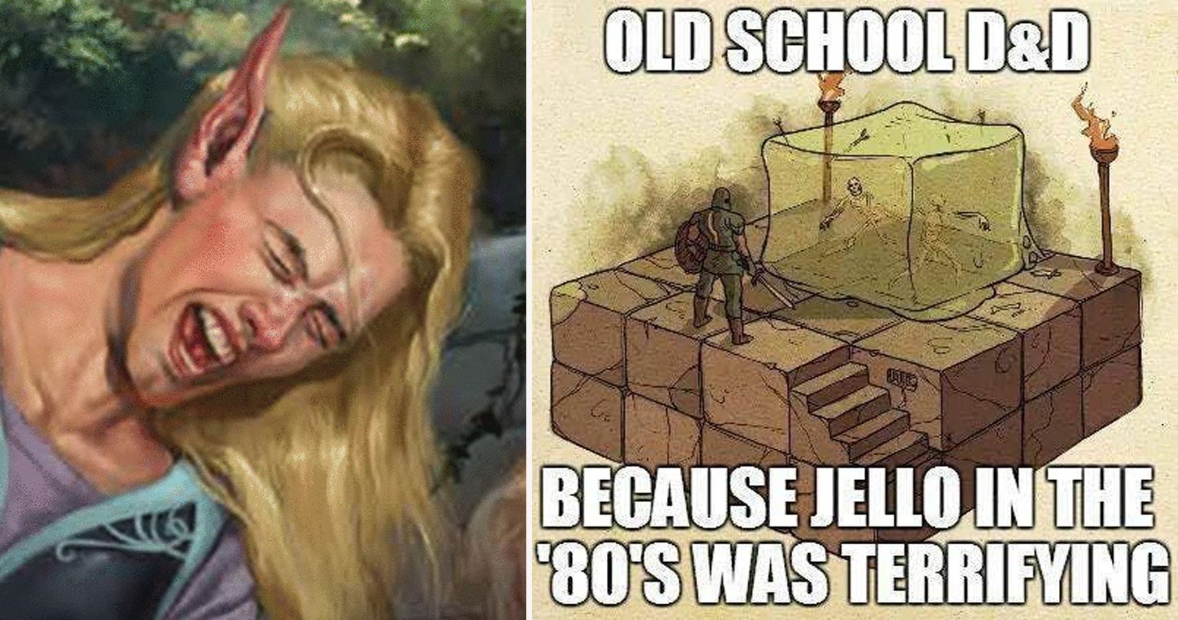 Dungeons And Dragons Memes That Show The Game Makes No Sense