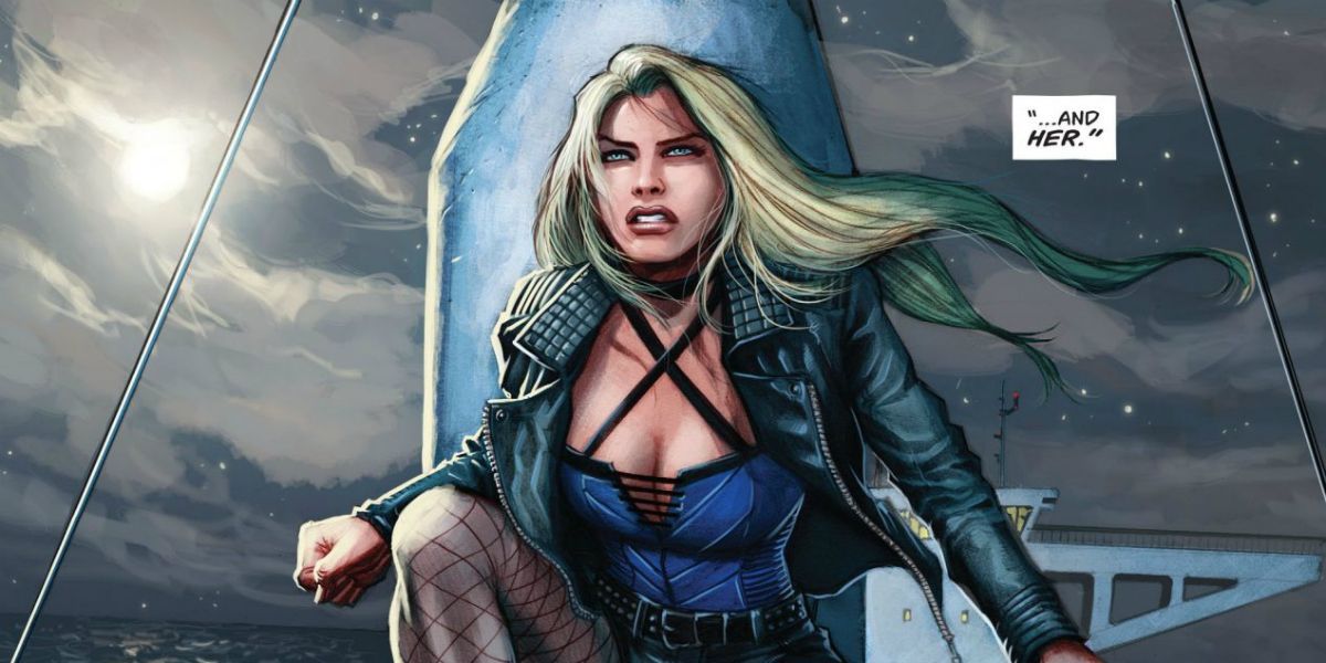 black canary birds of prey