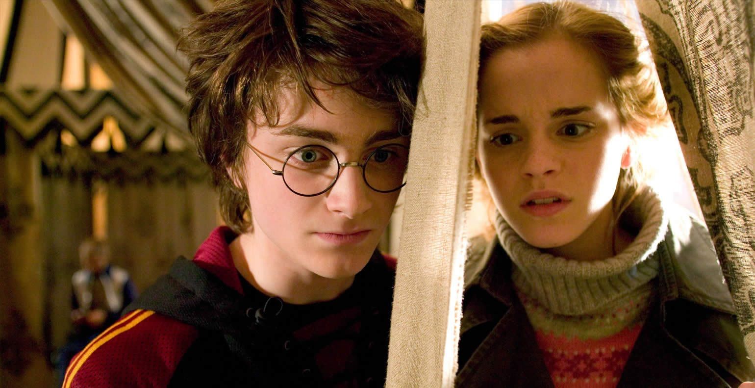 Harry Potter 10 Times Hermione Saved The Trio