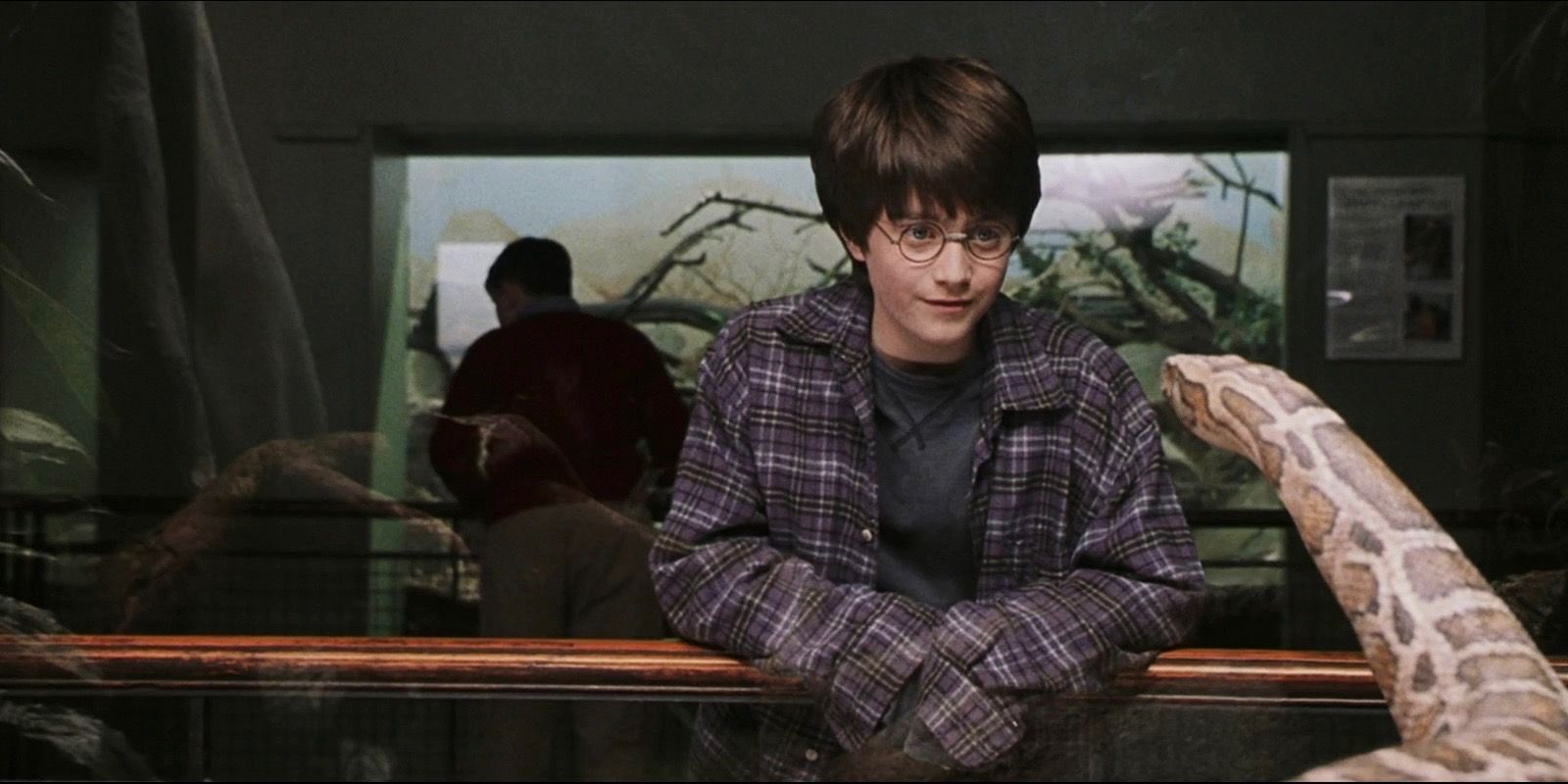 Harry Potter 10 Most Magical Scenes In The Philosophers Stone