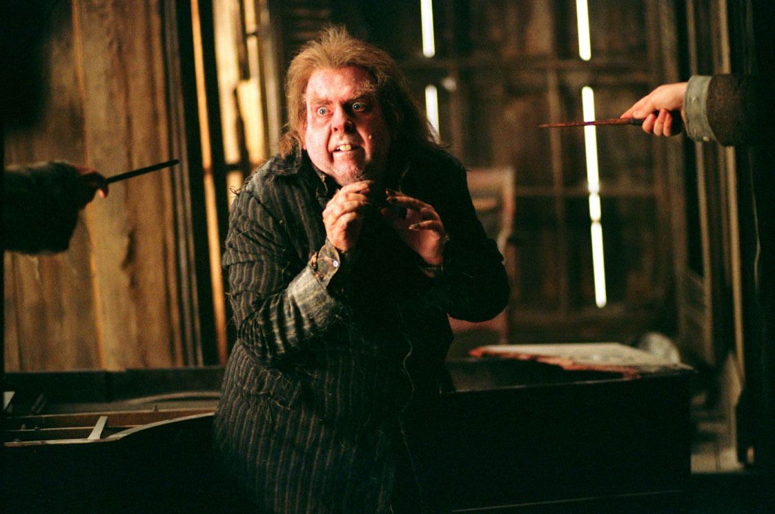 Harry Potter 20 Crazy Things Only True Potterheads Know About Animagi