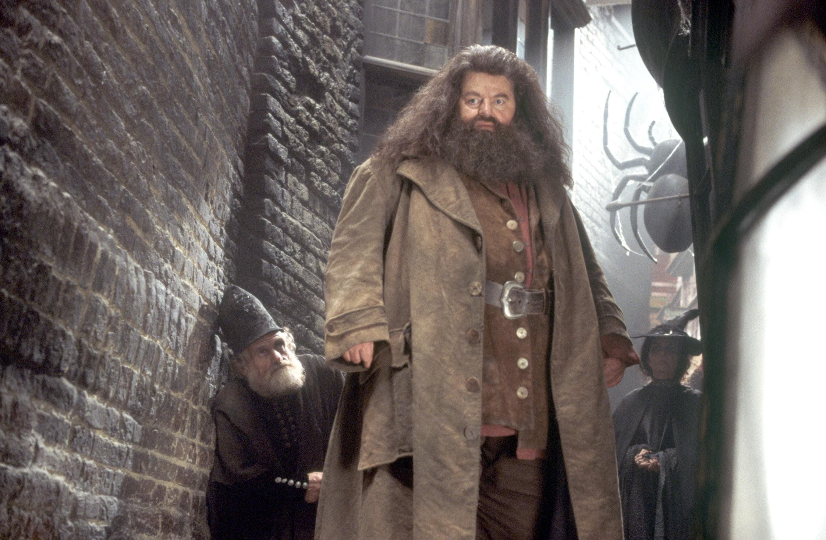Harry Potter 20 Strange Details About Hagrid’s Anatomy