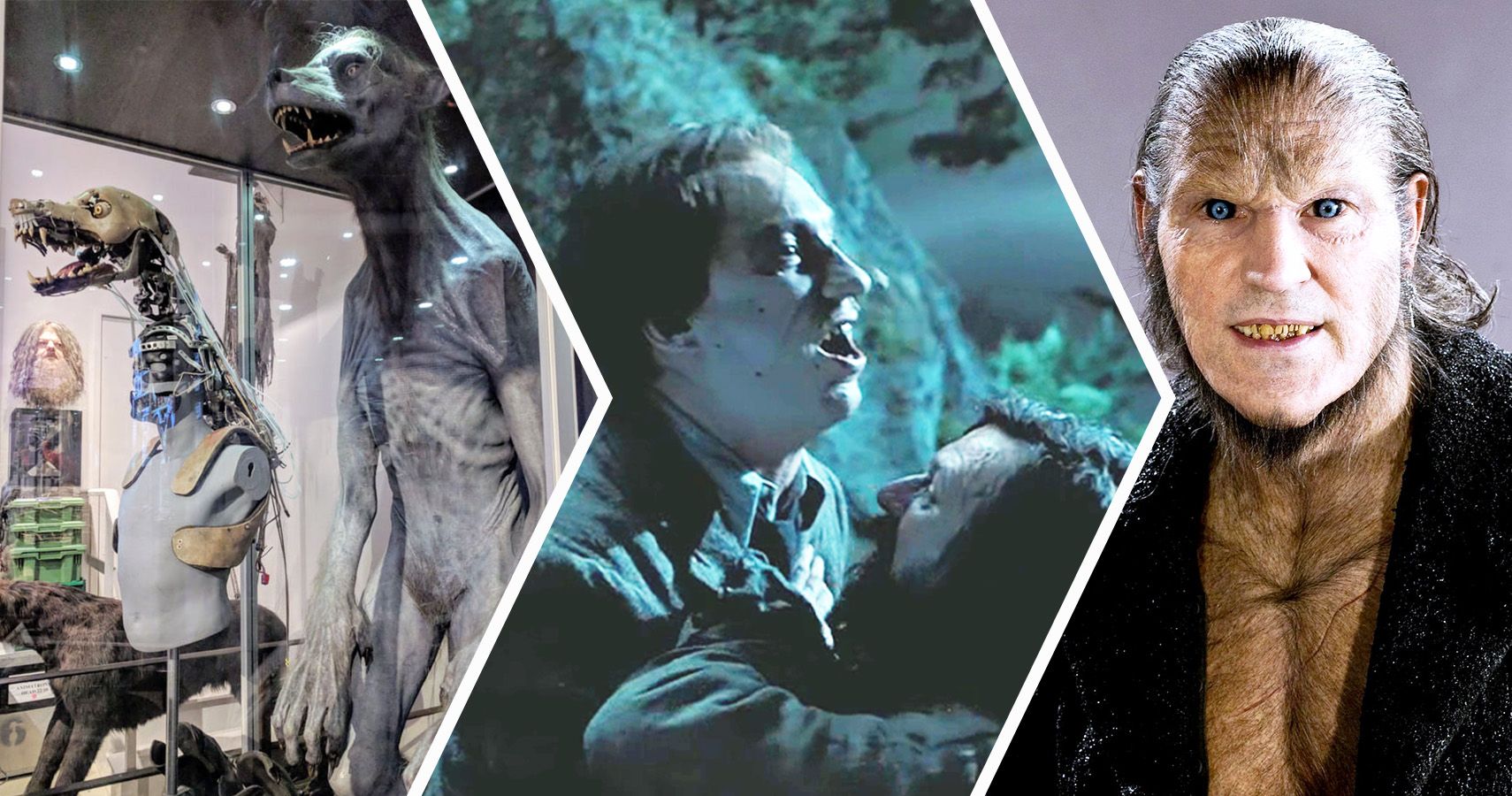 Harry Potter: 20 Strangest Details About Remus Lupin's Anatomy