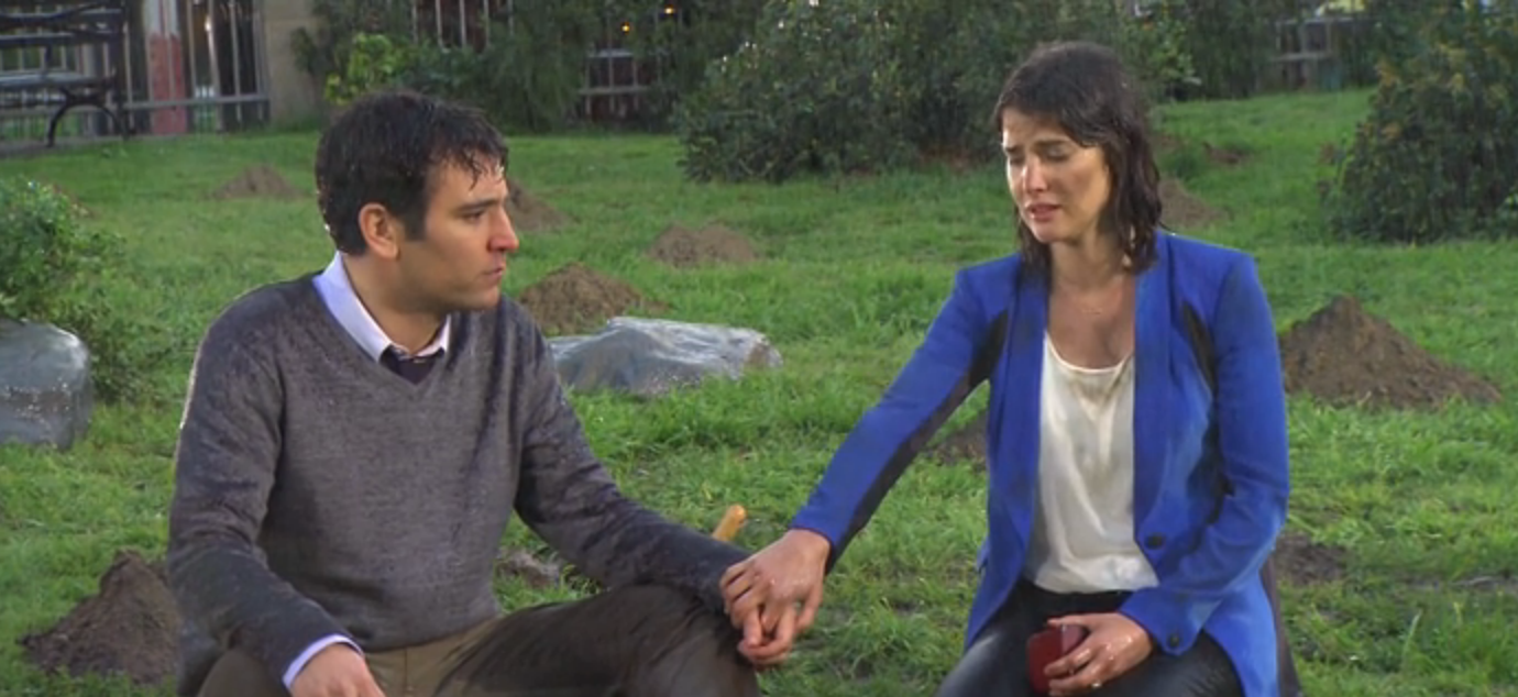 How I Met Your Mother 20 Things That Make No Sense About Ted And Robin
