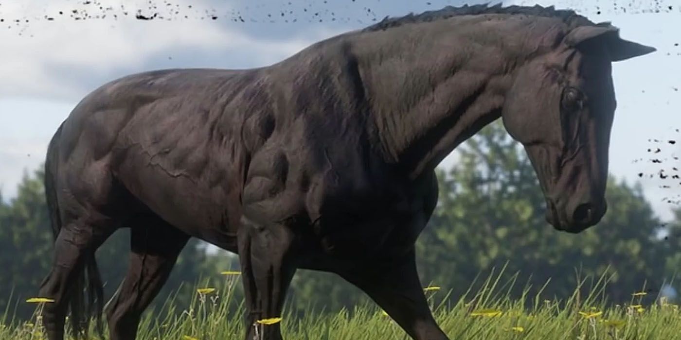 Red Dead Redemption 2s Horses Ranked From Worst To Best