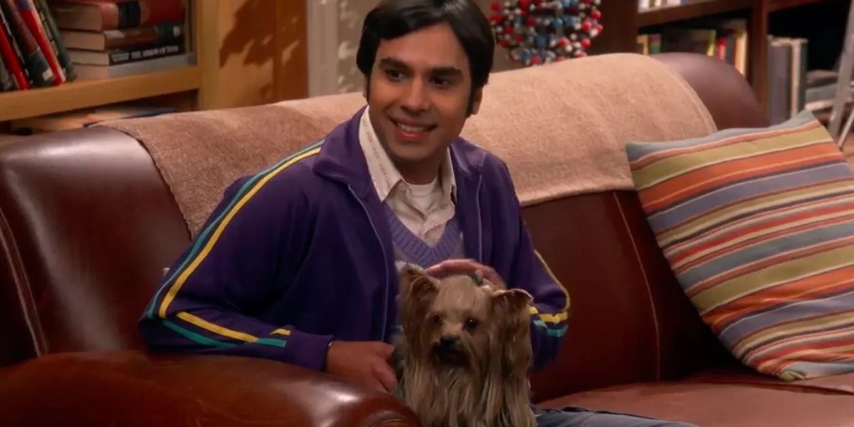 The Big Bang Theory 10 Unpopular Opinions About Raj (According To Reddit)