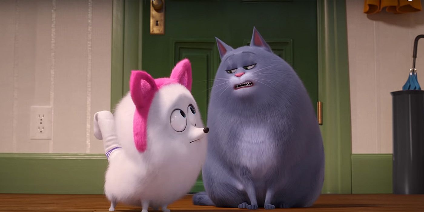 Secret Life Of Pets 2 Trailer Gidget Learns How To Be A Cat