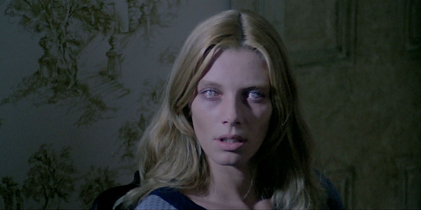 Scariest Horror Movies Ever 10 Highest Ranking Video Nasties (According To IMDb)