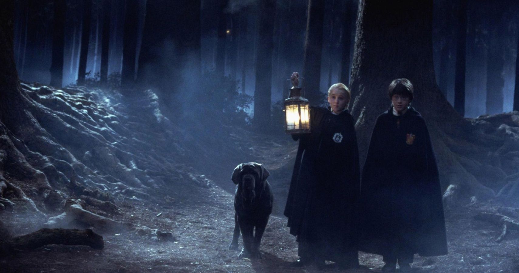 Harry Potter 10 Things About The Forbidden Forest The Books Leave Out