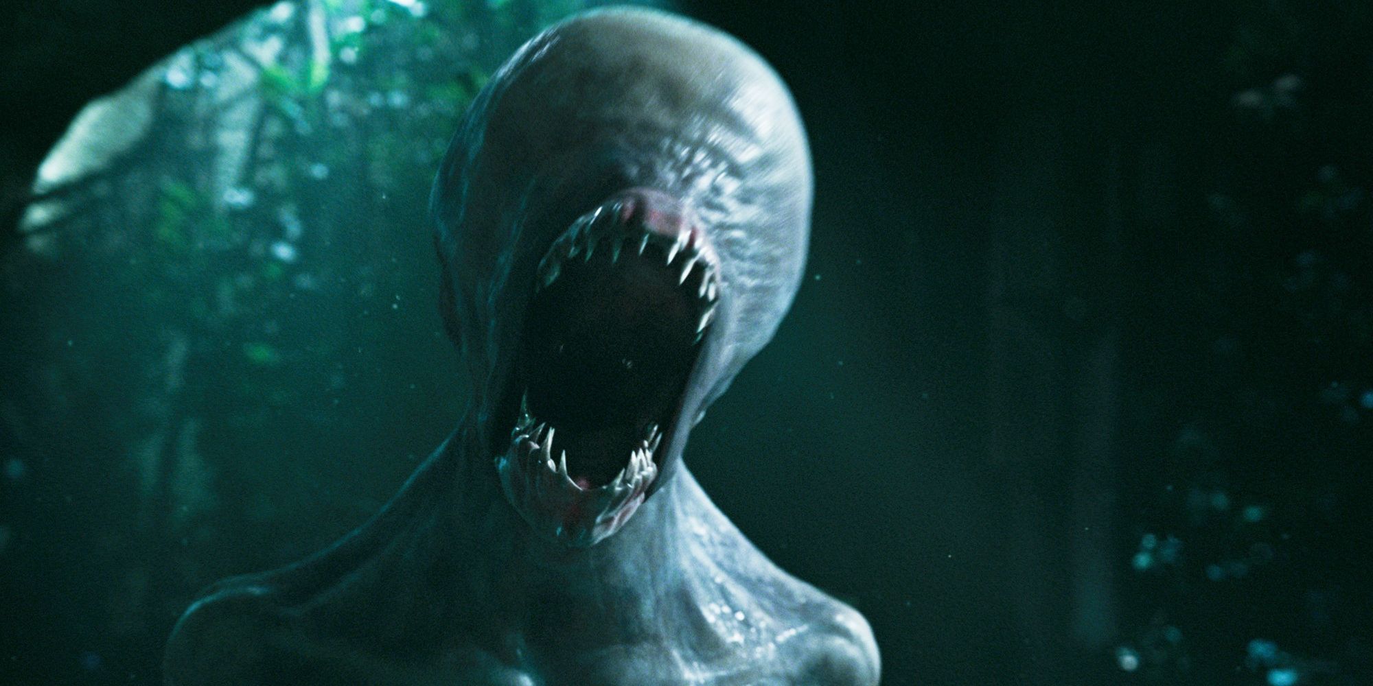 White Xenomorph Alien Covenant