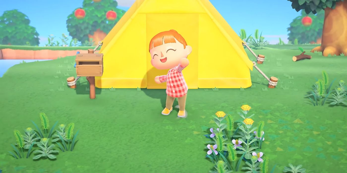 Animal Crossing New Horizons How to Make Paths