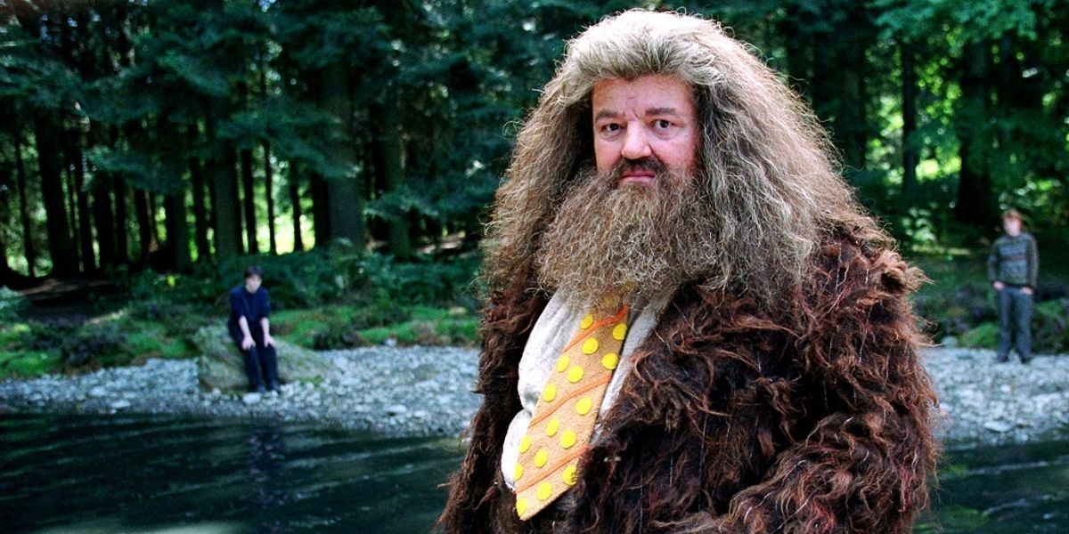 Harry Potter 10 Hagrids Hut Moments The Movies Missed Out On