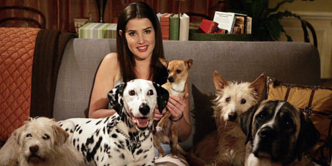 How I Met Your Mother The 5 Best (& 5 Worst) Things Ted Ever Did