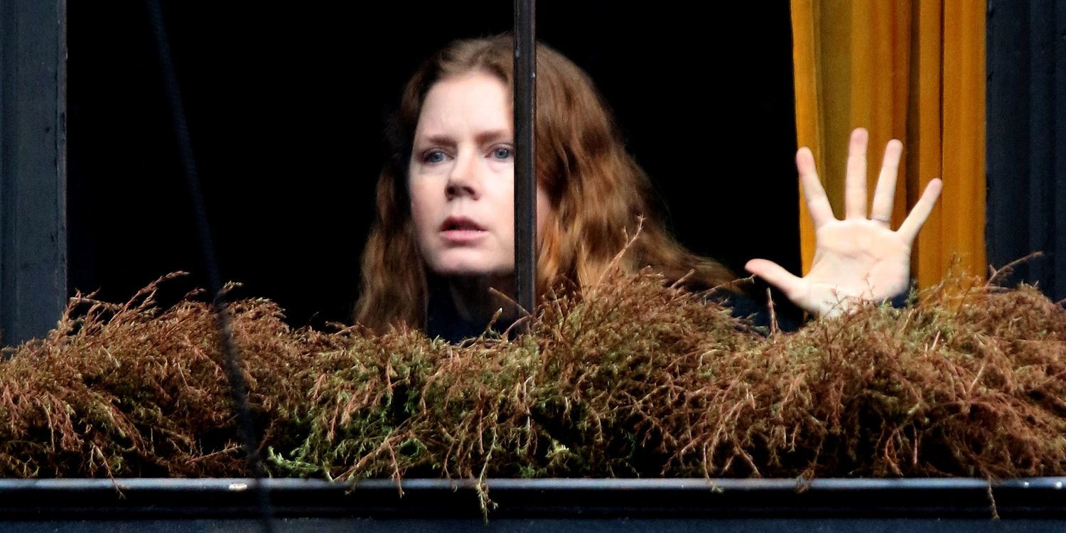 Amy Adams Woman In The Window Movie Gets May Release Date On Netflix