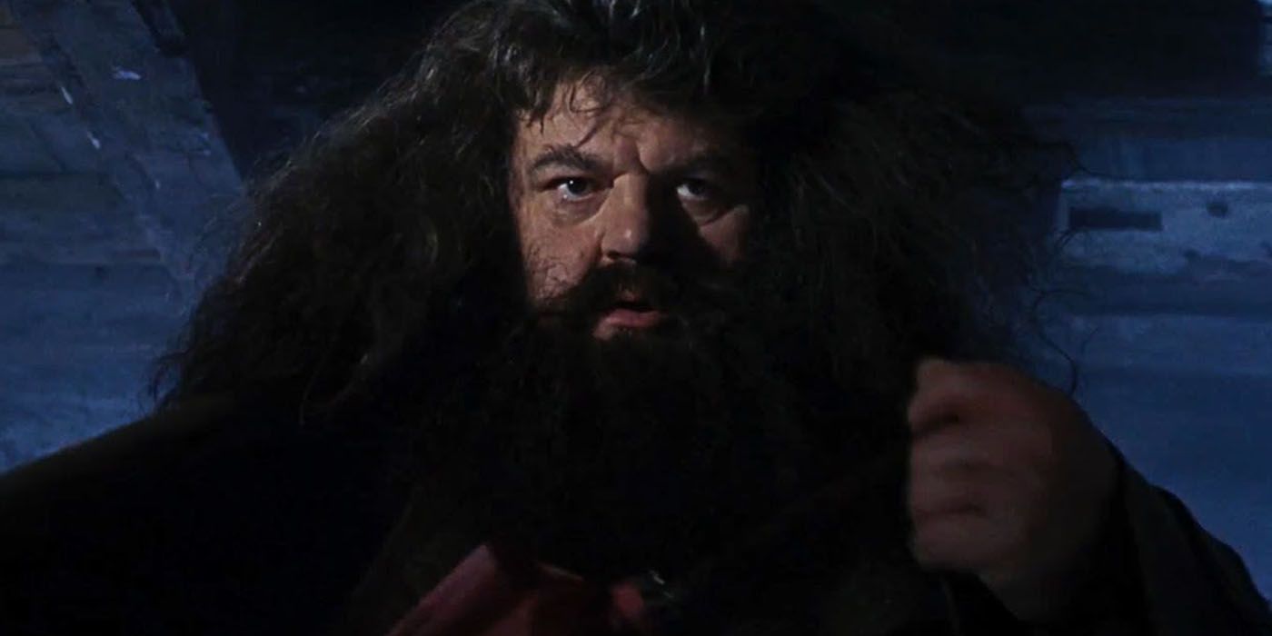 Harry Potter Theory Hagrid Was Voldemorts Secret Death Eater