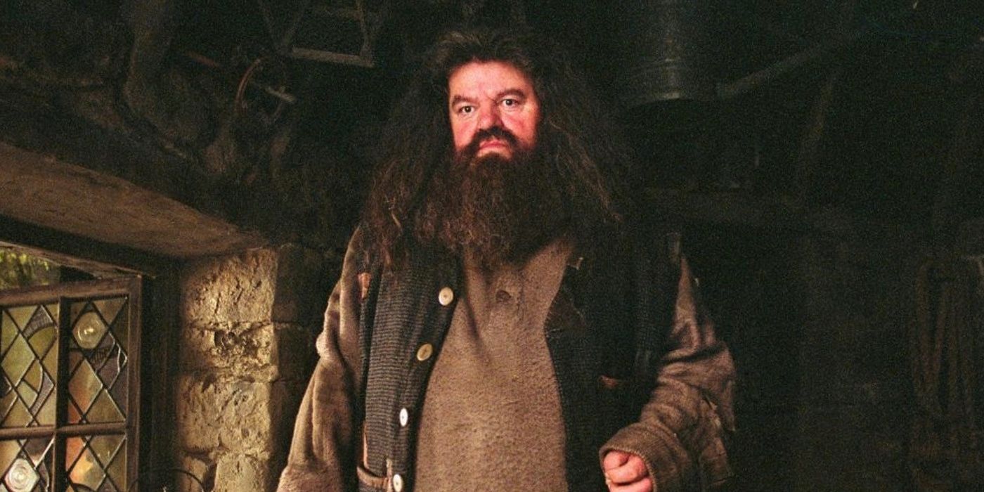 Harry Potter 10 Things About Rubeus Hagrid That Havent Aged Well