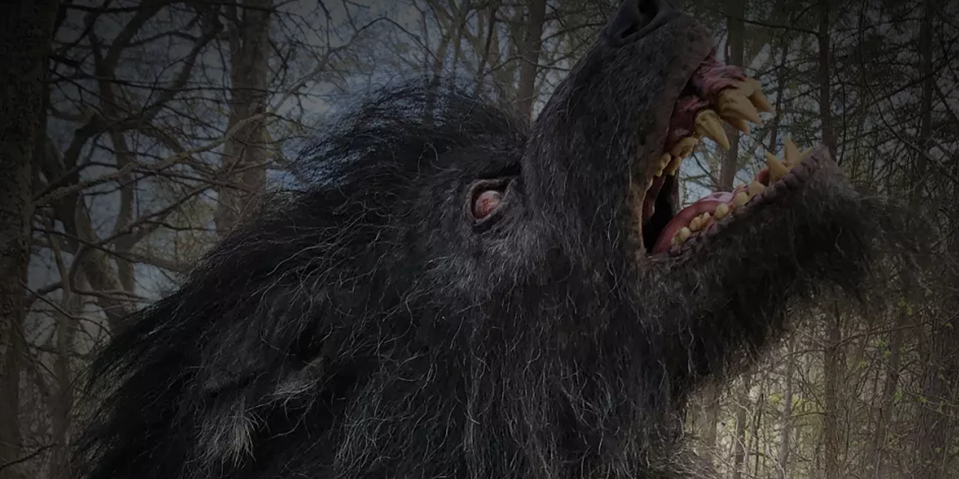 10 Hidden Things You Missed In Annabelle Comes Home Screenrant