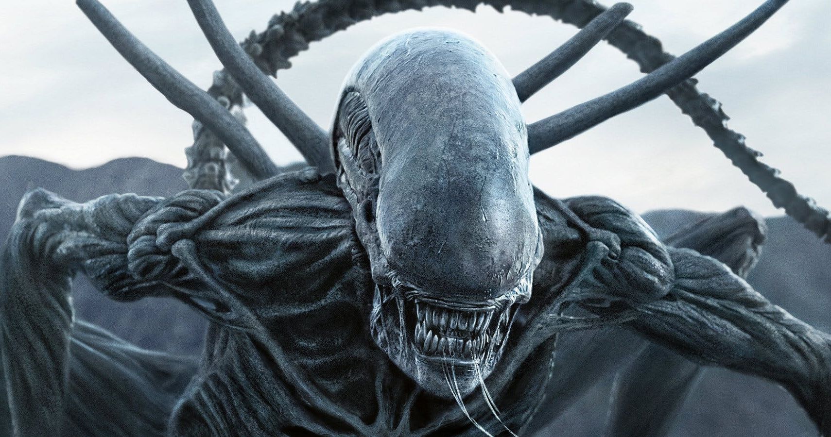 Alien 10 Facts You Didn T Know About The Xenomorph