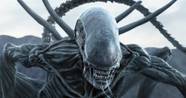 Alien 10 Facts You Didn t Know About The Xenomorph Alien 10 Facts You Didn t Know About The Xenomorph