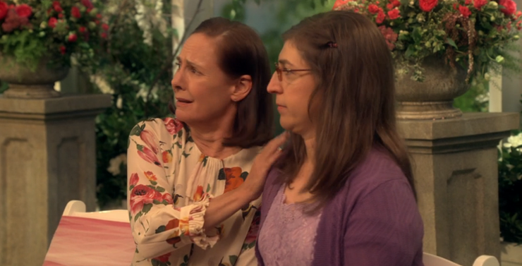 big-bang-theory-amy-and-mary-cooper.png (740×377)
