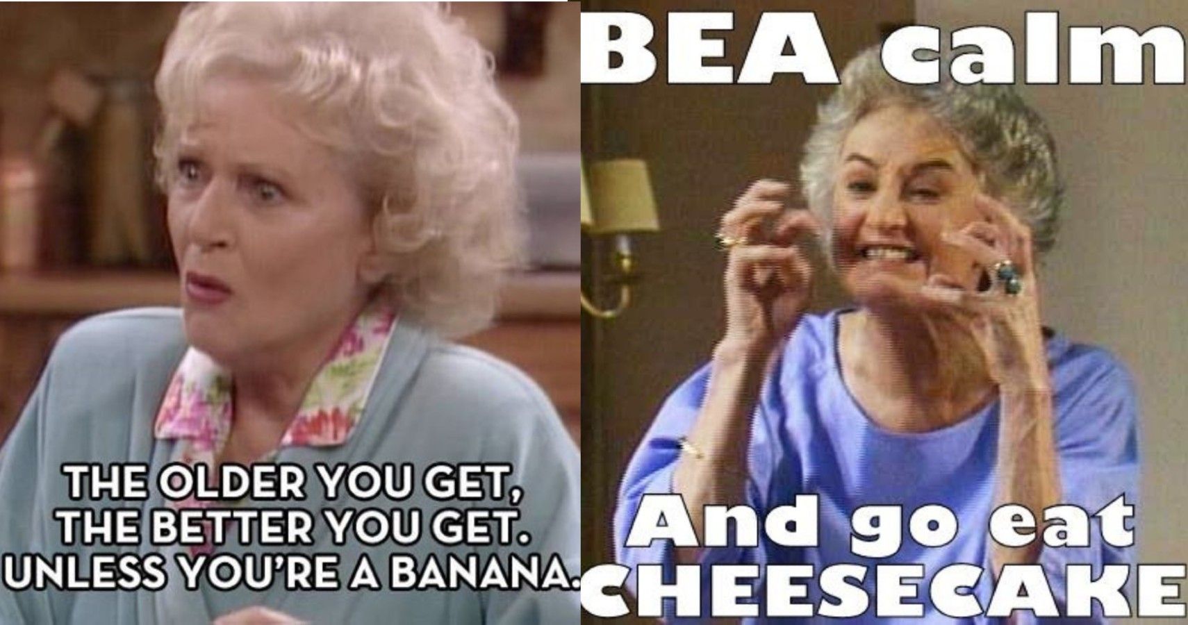 Golden Girls Memes Featured 