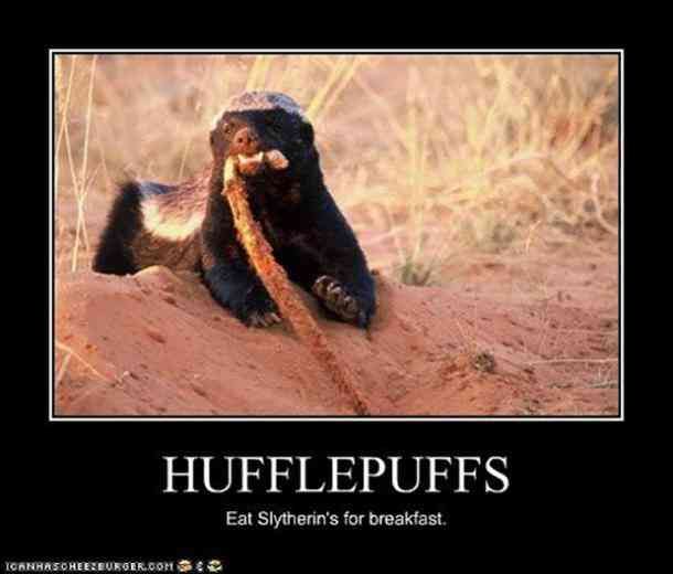 Harry Potter 10 Hufflepuff Logic Memes That Are Hilariously True