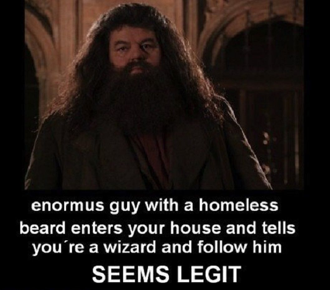 hagrid youre a wizard harry