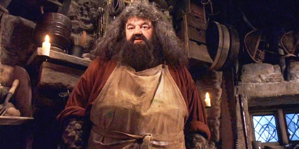 Harry Potter 10 Things About Rubeus Hagrid That Havent Aged Well