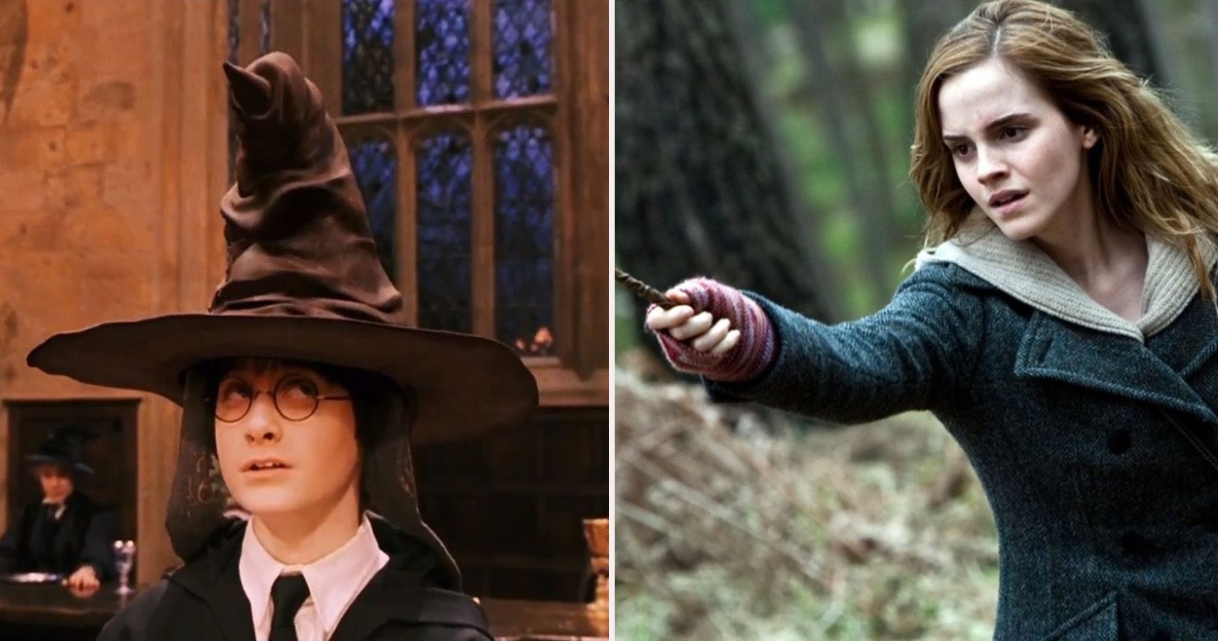 Harry Potter 10 Fan WhatIf Scenarios That Would Change Everything
