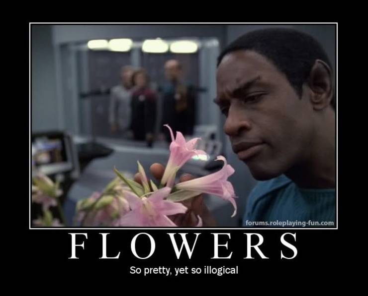 Set Phasers To Lol Logic Sci Fi Fantasy Cheezburger