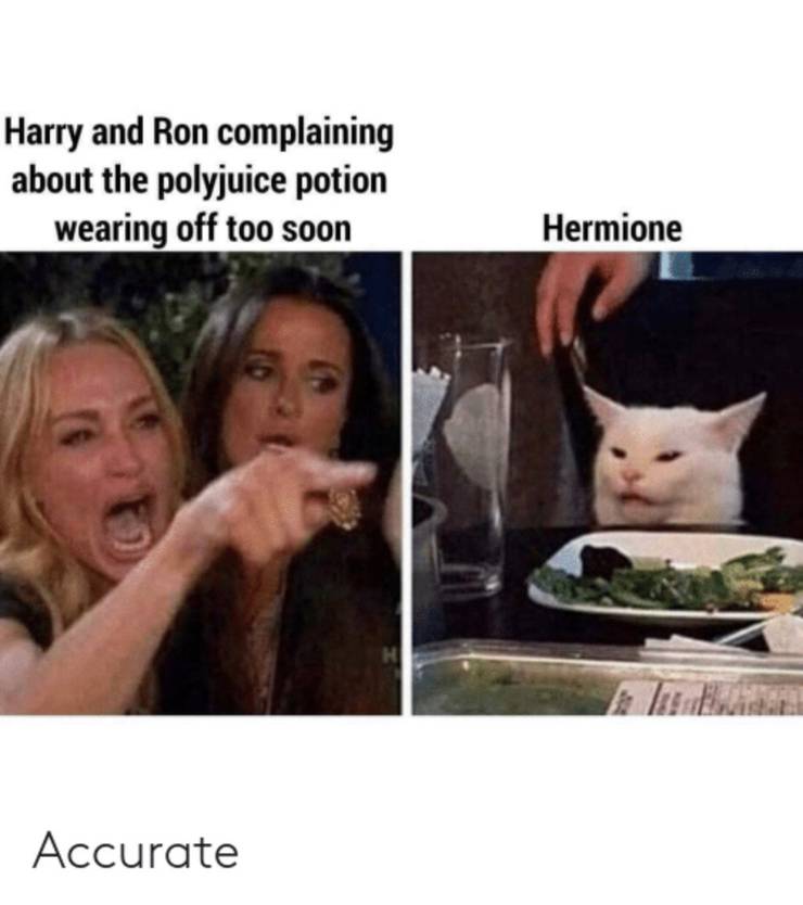 Harry Potter 10 Hilarious Golden Trio Memes Only True Fans Will