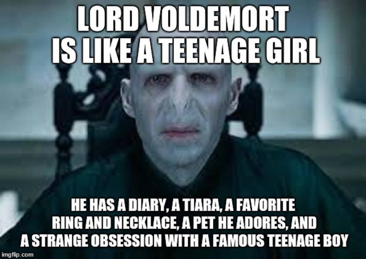Featured image of post Funny Harry Potter Memes Voldemort Nose