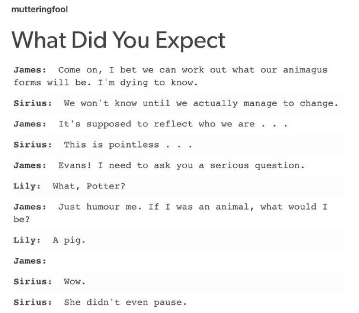 Harry Potter 10 Hilarious Marauders Memes Only True Fans Will