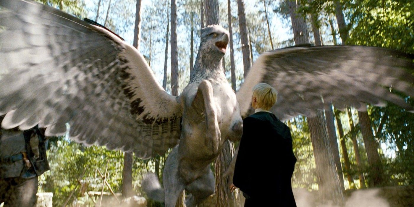 Harry Potter 10 Things You Didn’t Know About Buckbeak